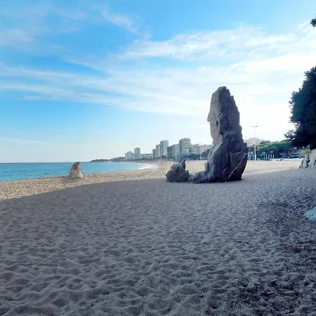 Cosette - Santamaria