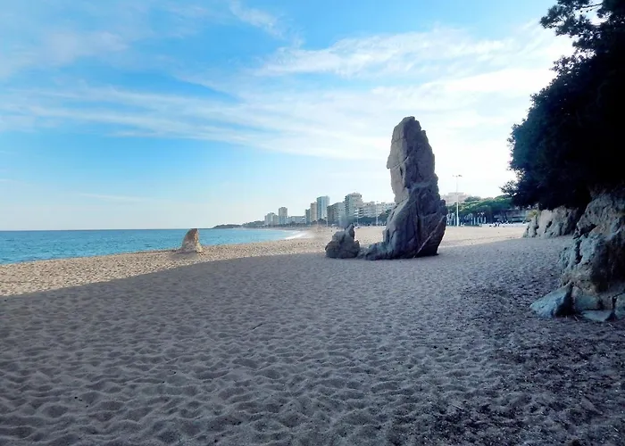 Cosette - Santamaria