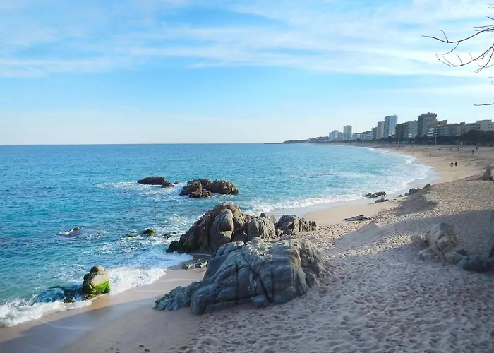 Cosette - Santamaria * 普拉加德阿罗